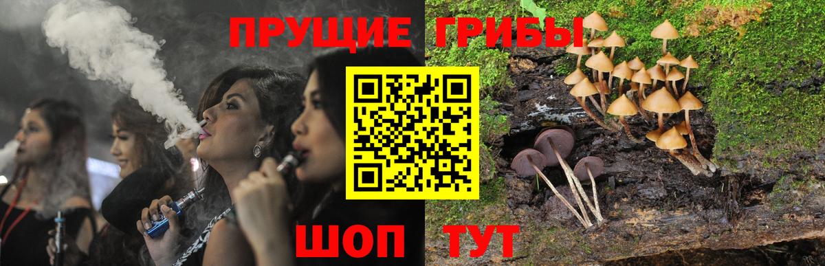 Псилоцибиновые грибы прущие грибы  Галлюциногенные грибы ЛСД  Вход с VPN  Димитровград 